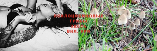 прущие крисы Алексеевка